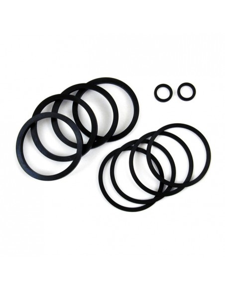 Rear brake caliper oil seal...