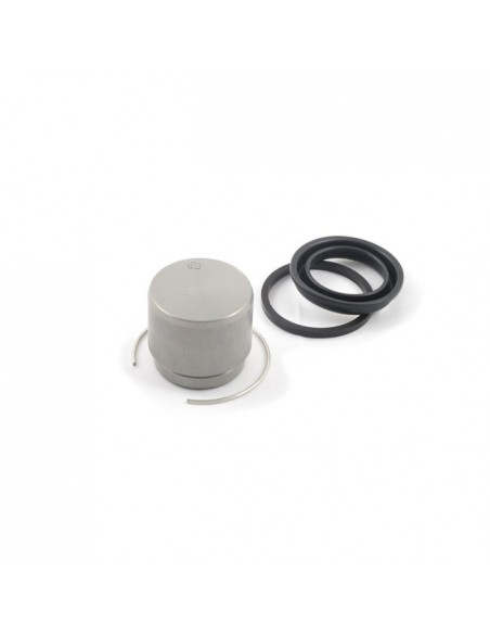 Oil seal and piston kit for...