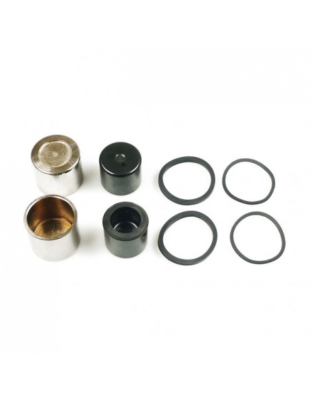 Oil seal and piston kit for...