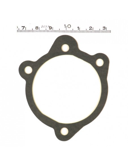 Gasket between carburetor...