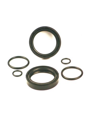 Fork oil seals kit 41 mm