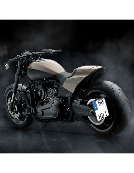 Portatarga laterale nero con luce targa superiore per Softail King FXDR 2019 e 2020 OMOLOGATO ECE E11