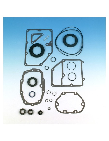 Gearbox gasket kit