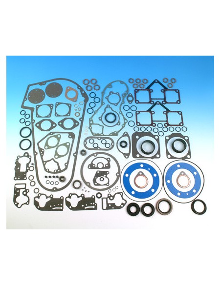 Engine gasket kit