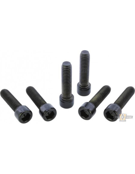 Black Front Fork Screw Kit...