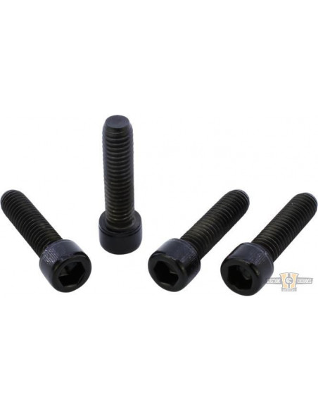 Black front fork screws kit...