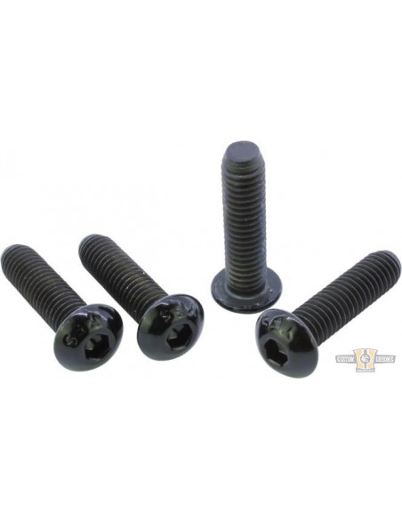 Black front fork screw kit...