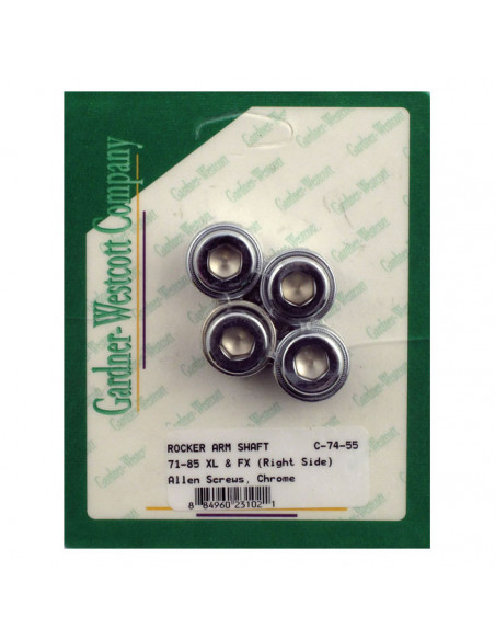 Kit screws chrome rocker...