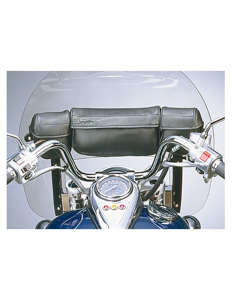 Windshield bag