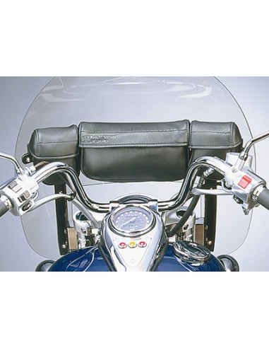 Windshield bag