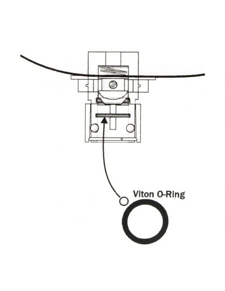 Oring riparazione valvola di ritegno per Dyna dal 2001 al 2017 con ìniezione Delphi