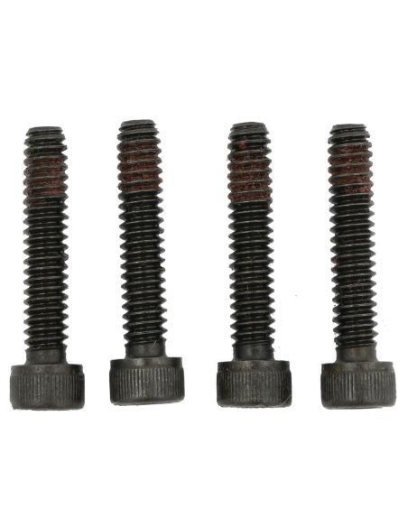 Stator locking screws for Softail from 1989 to 2006 ref OEM 2720