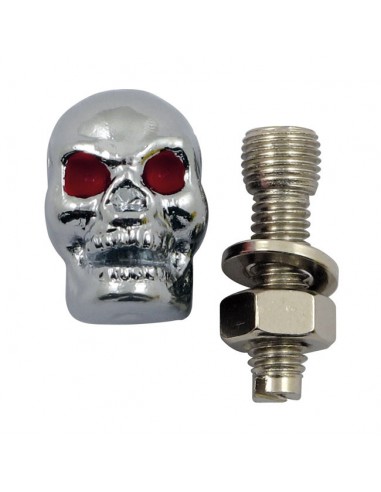 Screws plate Chromed Skull