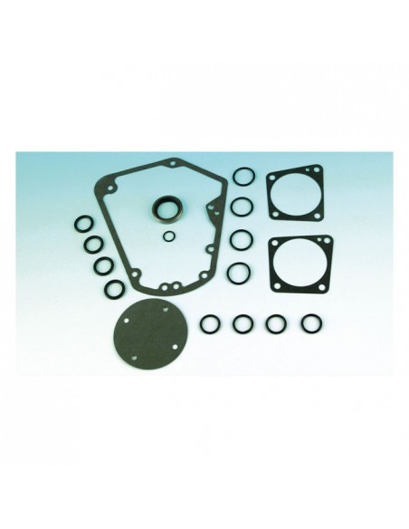 Cam replacement gasket kit