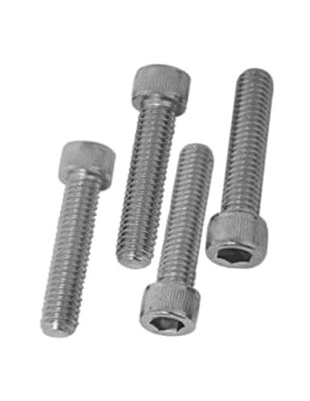 Set of long chrome screws....