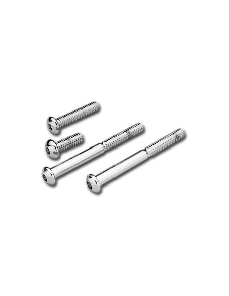 Chromed dashboard screws