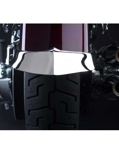 Rear fender ornament