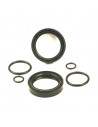 fork oil seal