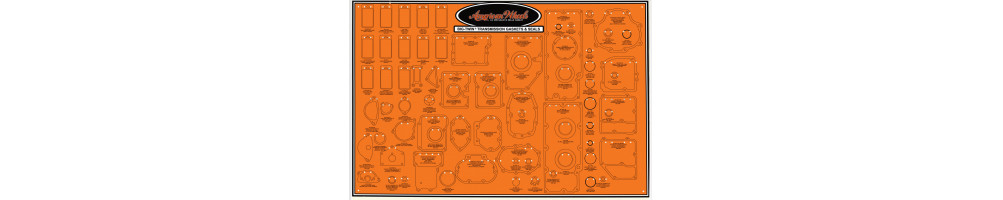 Gasket display panel