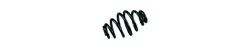 Saddle Springs