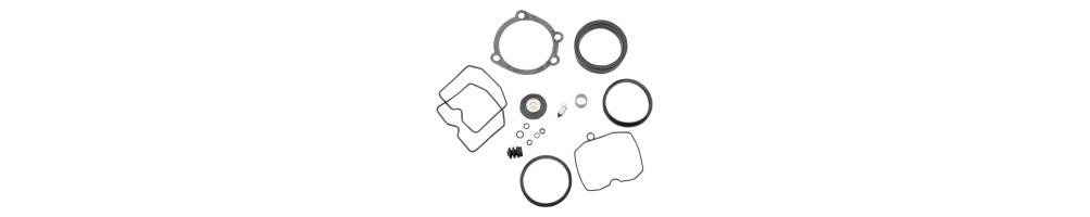 Carburetor/Injection Gaskets